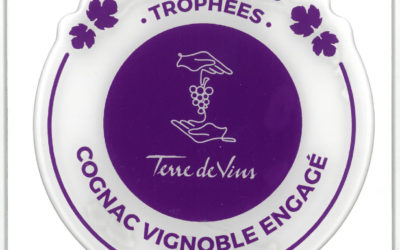 Le Domaine Rémy Piron récompensé par Terre de Vins