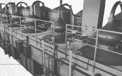 Notre feuille de route à visée régénérative